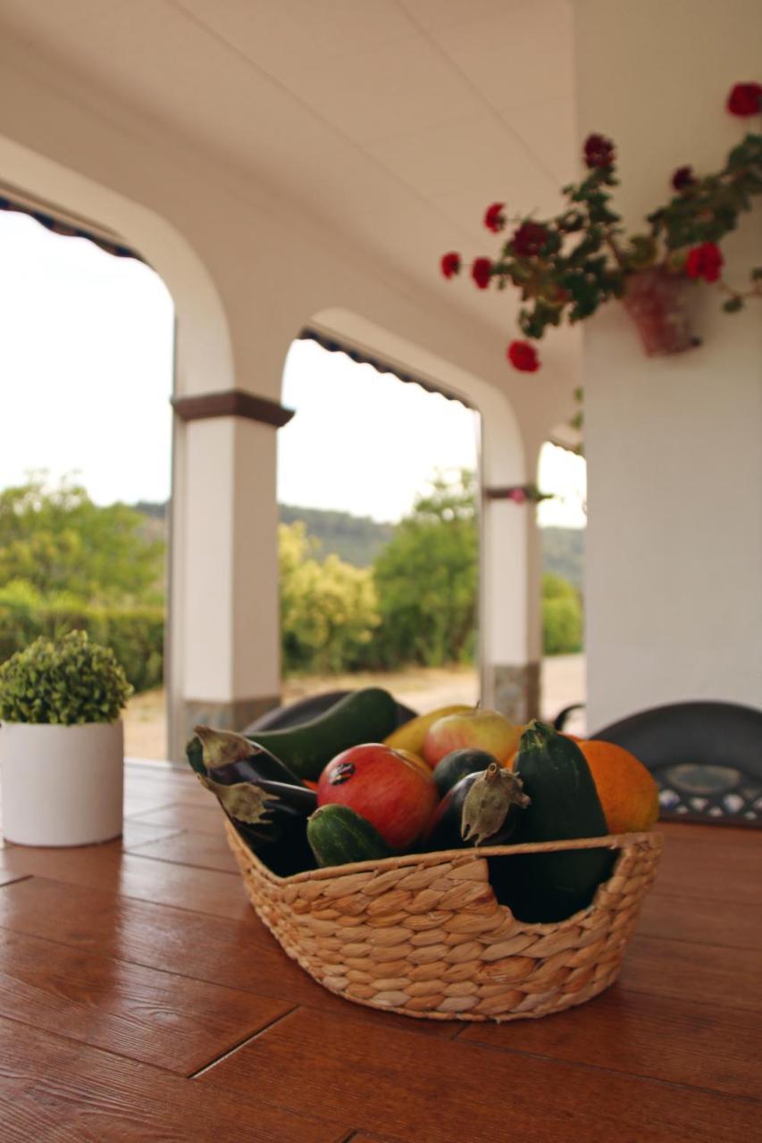 El Olmo Guest House Посадас Екстериор снимка